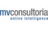 MV CONSULTORIA