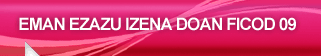 Eman ezazu izena doan FICOD 09 foroan