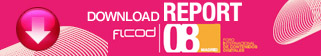 Report Ficod 2008